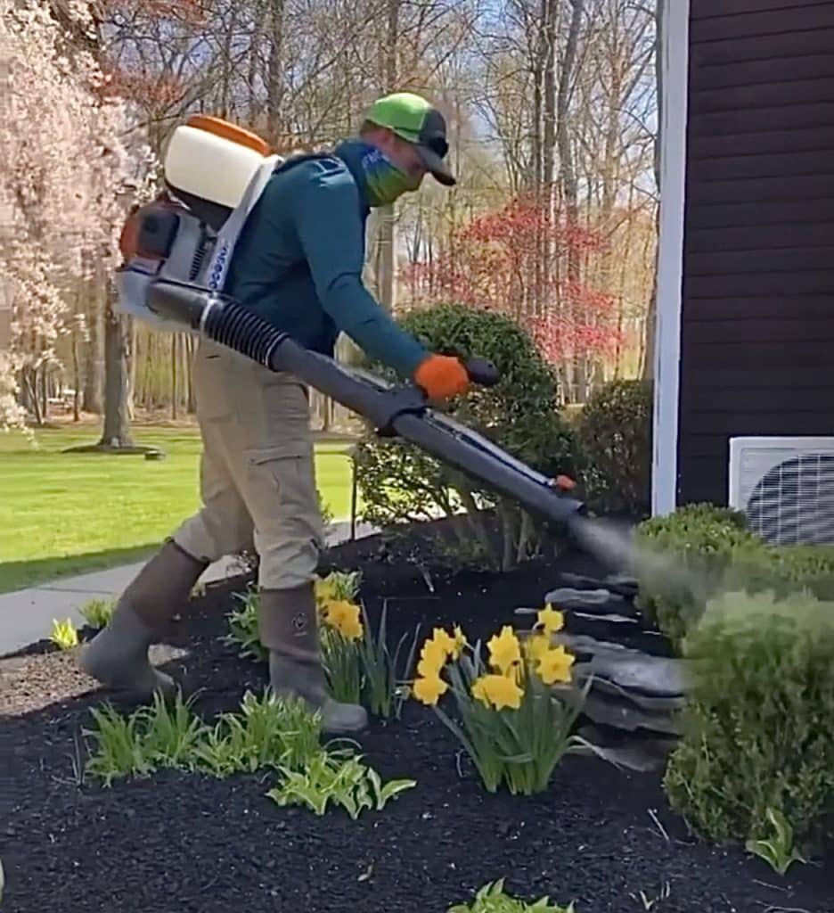 man spraying flowers and shrubs